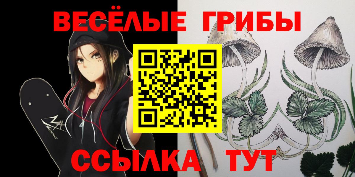 Псилоцибиновые грибы Cubensis  Вход с VPN  Вышний Волочёк 