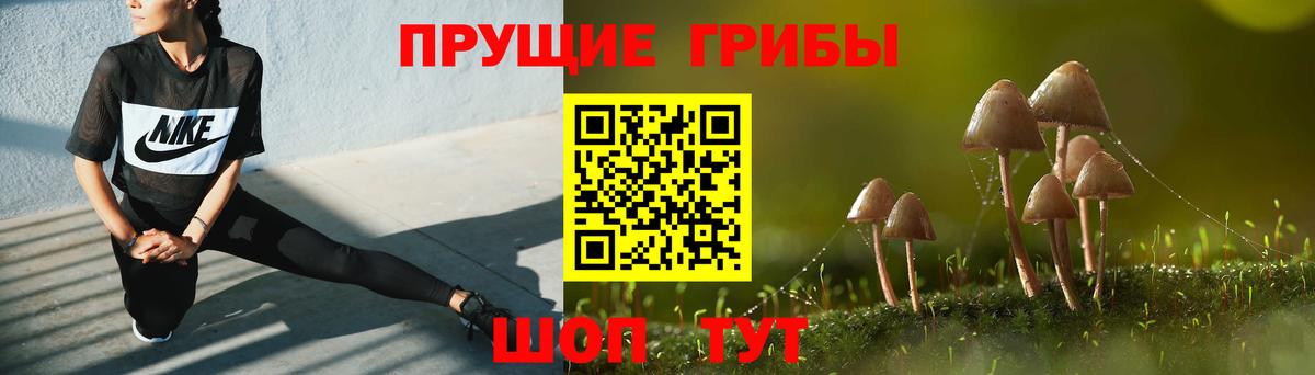 Галлюциногенные грибы Cubensis Вышний Волочёк